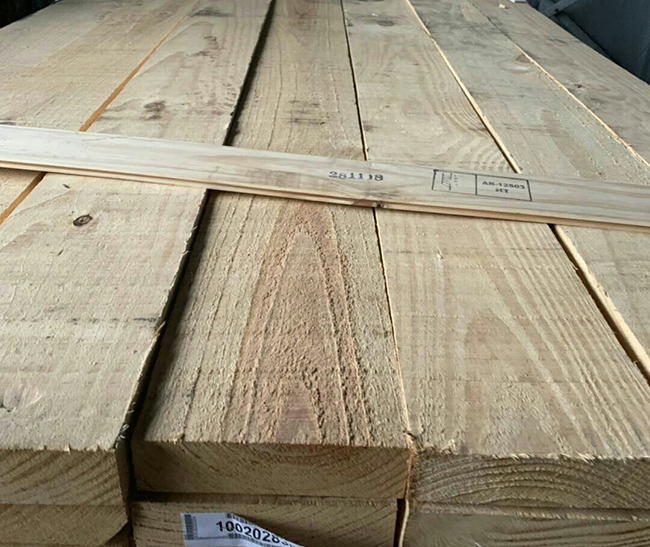 淮上阿根廷松木